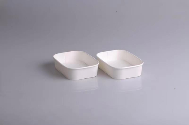 Rectangle paper plates bowl